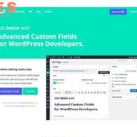 Advanced Custom Fields Pro