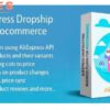 AliExpress Dropshipping Business