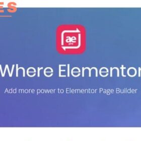 Anywhere Elementor Pro
