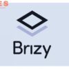 Brizy Pro