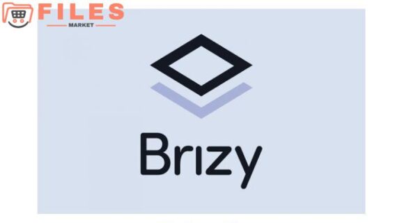 Brizy Pro