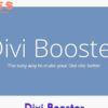 Divi Booster