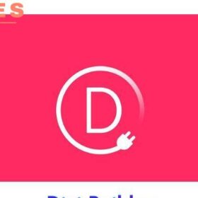 Divi Builder