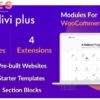 Divi Plus