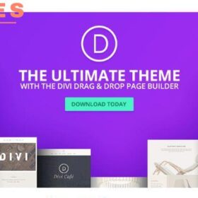 Divi Theme