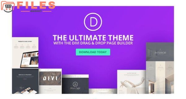Divi Theme