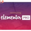 Elementor Pro