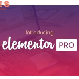 Elementor Pro