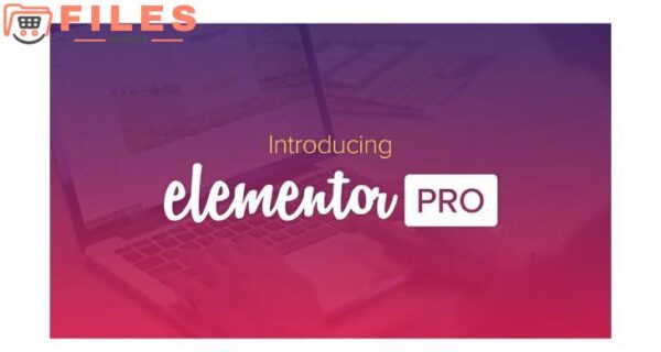 Elementor Pro