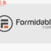 Formidable Forms Pro