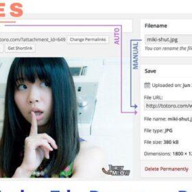 Media File Renamer Pro