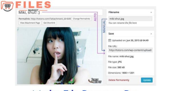 Media File Renamer Pro