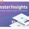 MonsterInsights Pro