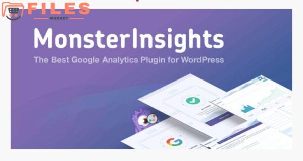 MonsterInsights Pro