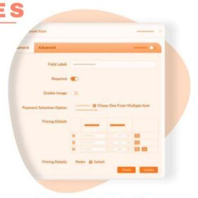 Paymattic Pro