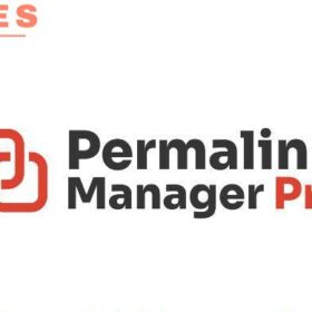 Permalink Manager Pro