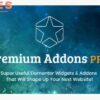 Premium Addons PRO
