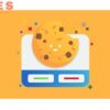 Real Cookie Banner Pro