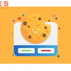 Real Cookie Banner Pro