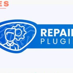 RepairPlugin Pro