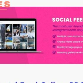 Social Feed Gallery PRO