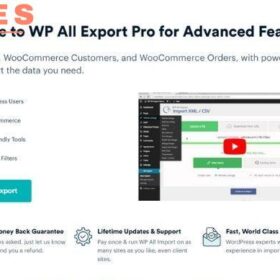 WP All Export Pro