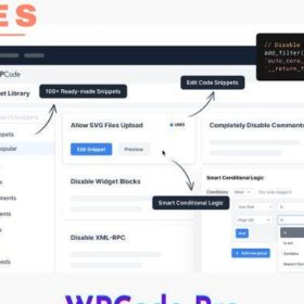 WPCode Pro