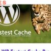WP Fastest Cache Pro