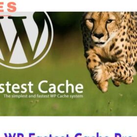 WP Fastest Cache Pro