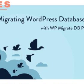 WP Migrate DB Pro