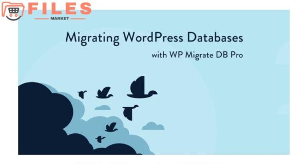 WP Migrate DB Pro