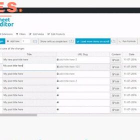WP Sheet Editor Pro