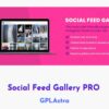 Social Feed Gallery PRO