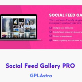 Social Feed Gallery PRO