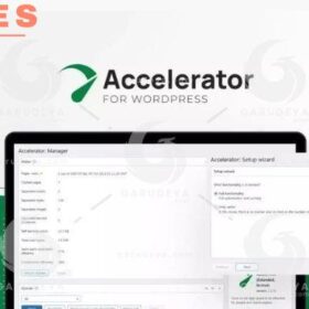 Seraphinite Accelerator Extended