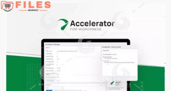 Seraphinite Accelerator Extended